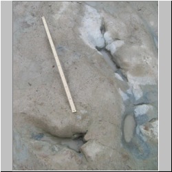 100_0716 (2009-27-07)cr.jpg